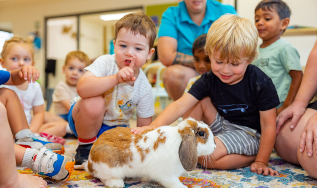 Children interacting with rabbit at Chisholm early education centre