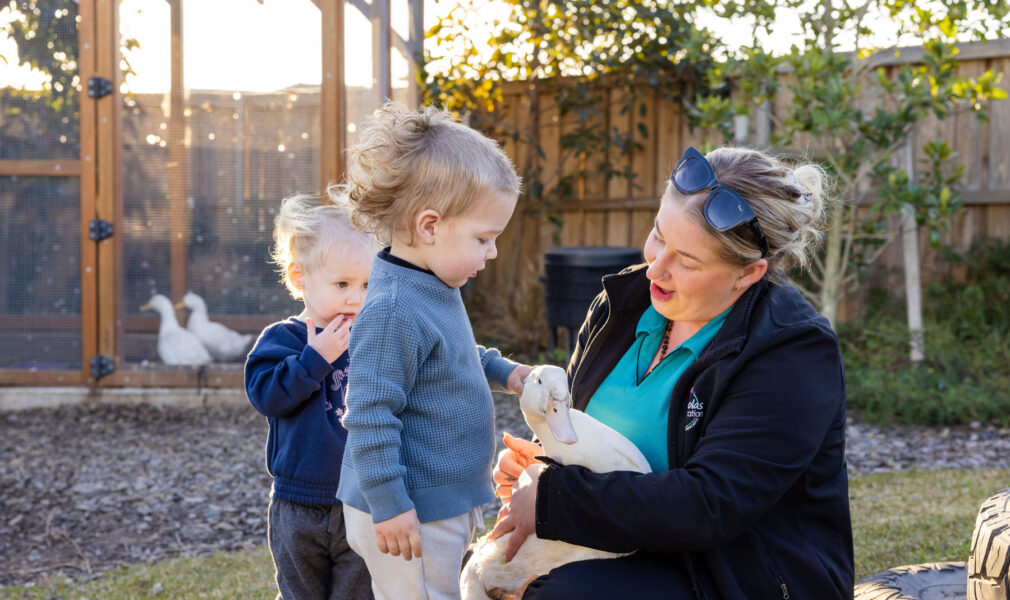 Child and educator in duck enclosure at Gillieston Heights early education centre
