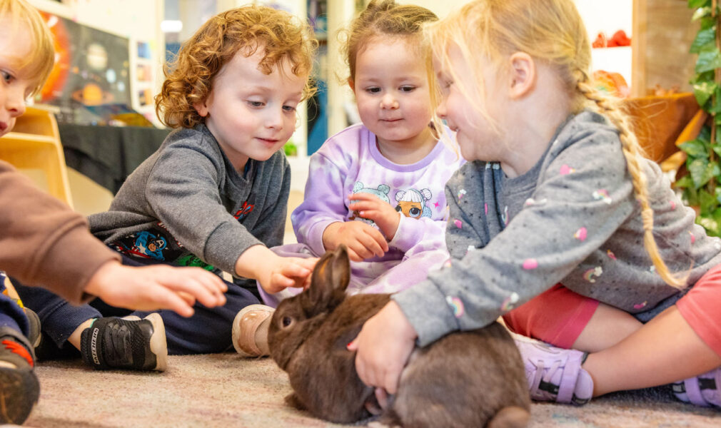 Children playing with centre rabbit inside at Singleton early education centre