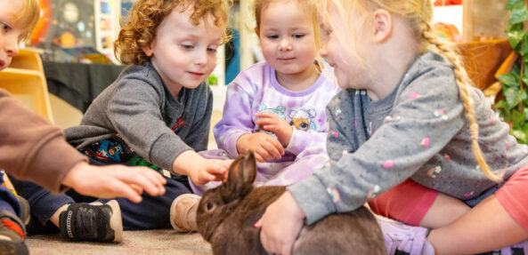 Children playing with centre rabbit inside at Singleton early education centre