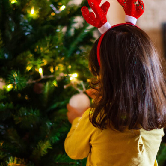 0008703 sn cc web header xmas 1