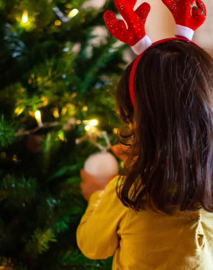 0008703 sn cc web header xmas 1