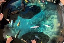 Maitland Outdoor Sensory