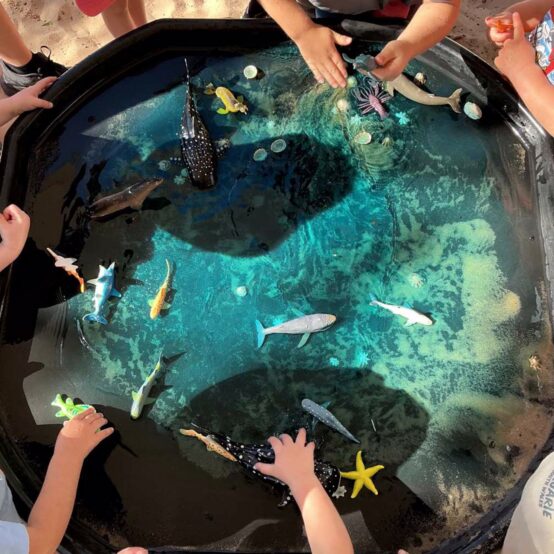 Maitland Outdoor Sensory