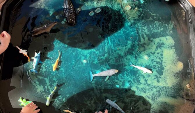 Maitland Outdoor Sensory