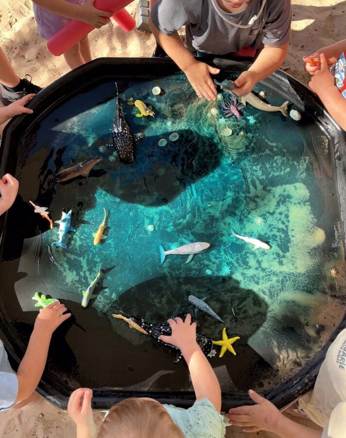 Maitland Outdoor Sensory