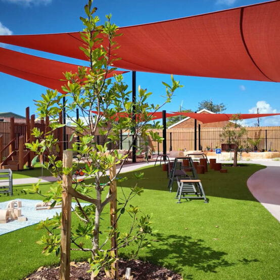 Forster screenshot first look