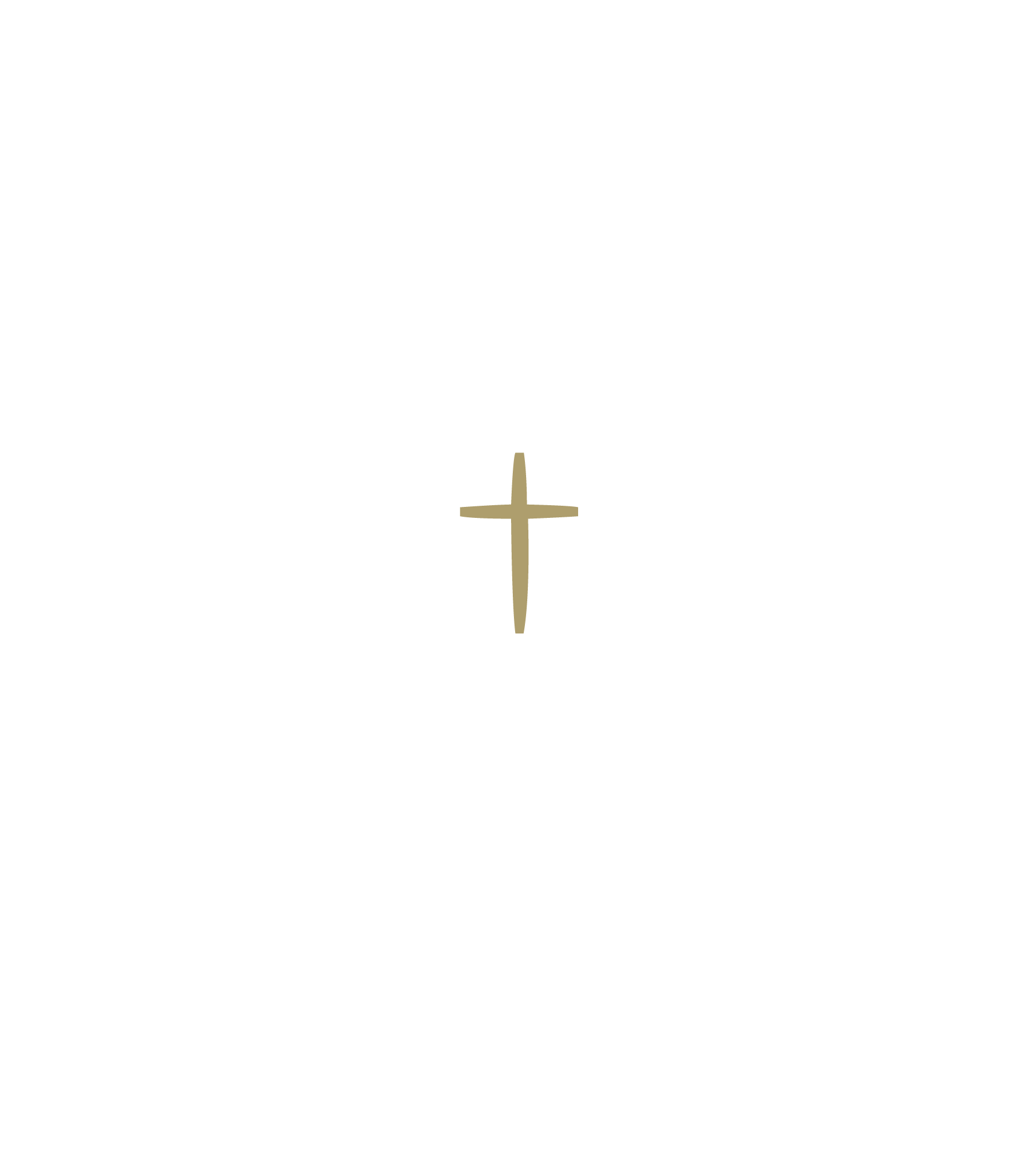 Rosary Park Catholic School, Branxton Logo